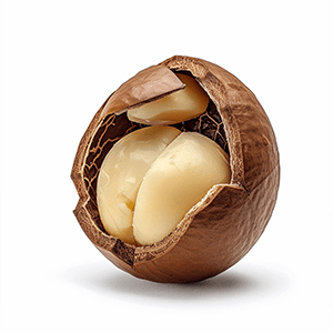 Shea Butter